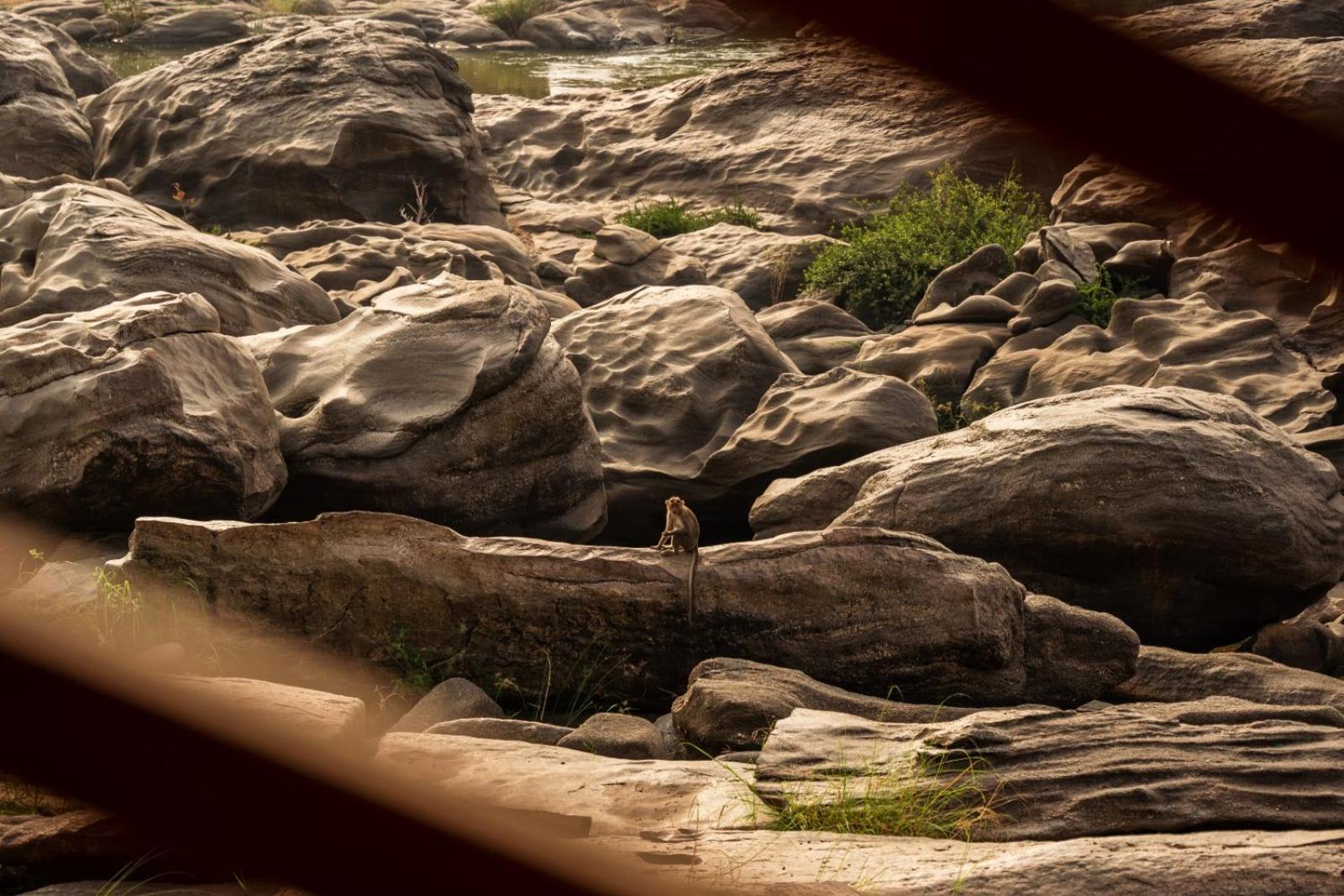 מלון Leo Woods Hampi River View מראה חיצוני תמונה